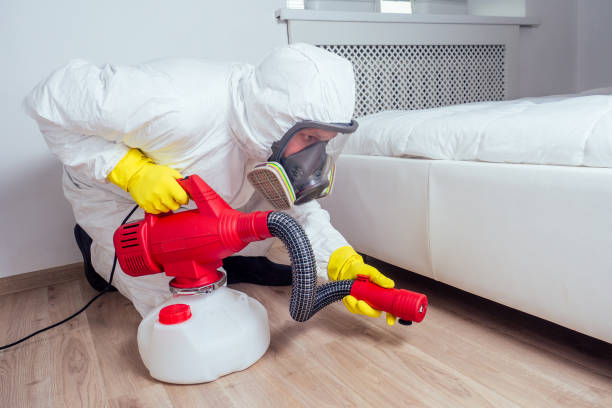Best Pest Control Near Me  in White Cloud, MI