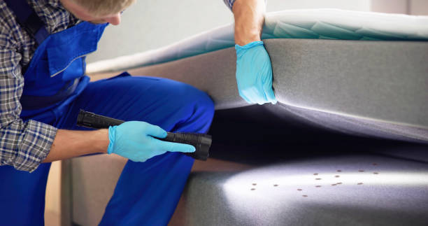 Best Best Pest Control Companies  in White Cloud, MI