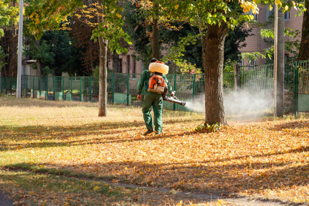 Best Rat Extermination Near Me  in White Cloud, MI