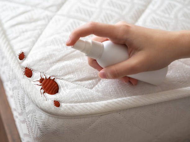 Best Pest Prevention Services  in White Cloud, MI